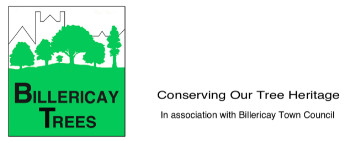 Billericay Tree Wardens Logo